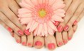 /album/manucure-pedicure-bresilienne/manos-y-pies1-jpg/